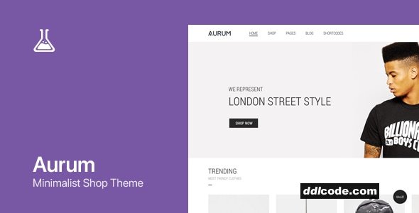 Aurum - WordPress & WooCommerce Shopping Theme