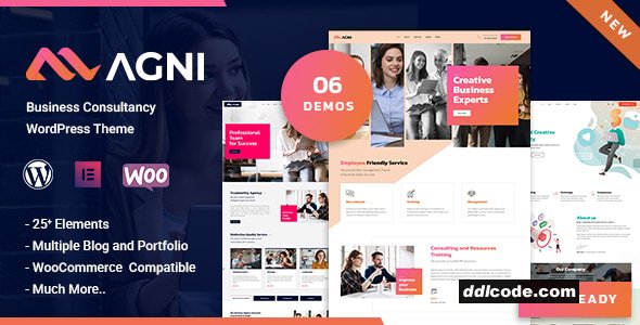 Agni - Consulting Business