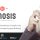 Osmosis - Responsive Multi-Purpose WordPress Theme