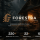 Forestra - Carpenter, Wood & Forestry WordPress Theme