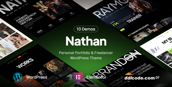 Nathan - Personal Resume CV Portfolio WordPress Theme