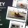 Drozy - Modern Blog & Magazine WordPress Theme