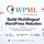 WPML String Translation Addon