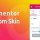 Elementor Custom Skin Pro