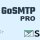 GoSMTP Pro - Make WordPress Email Delivery Easy and Reliabl