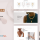 Alukas - Jewelry Store WooCommerce WordPress Theme
